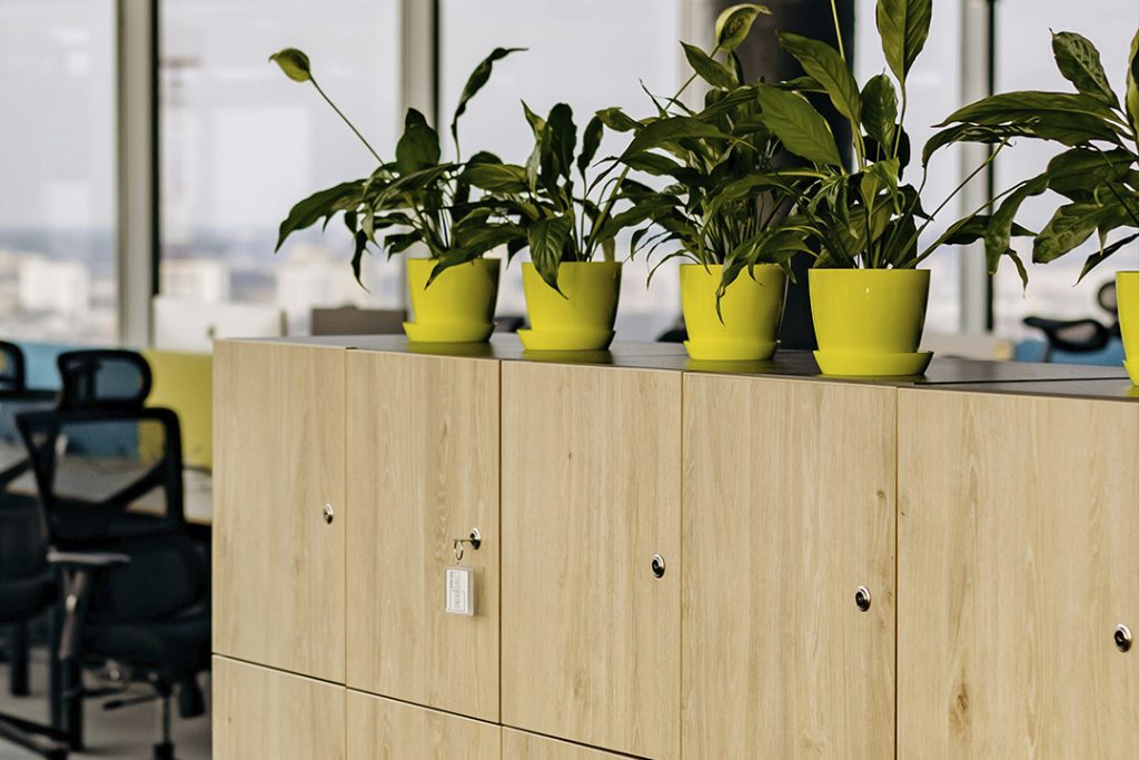 taquillas-con-plantas